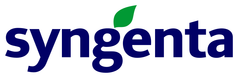 Logoipsum